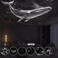 Galaxy Projector for Bedroom, HD Planetarium Star Projector with 6 Interchangeable Discs, Adjustable Focus Night Light for Kids Room Decor, Portable USB Galaxy Light for Sleep & Relaxation