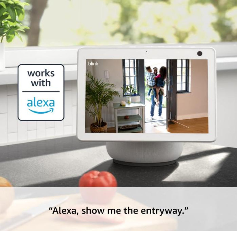 Blink Mini 2 Security Camera plug mount